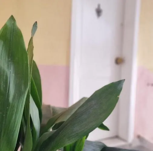 Apartament 11 Steps' Lovely In The Center