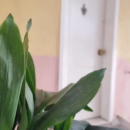 Διαμέρισμα 11 Steps' Lovely In The Center